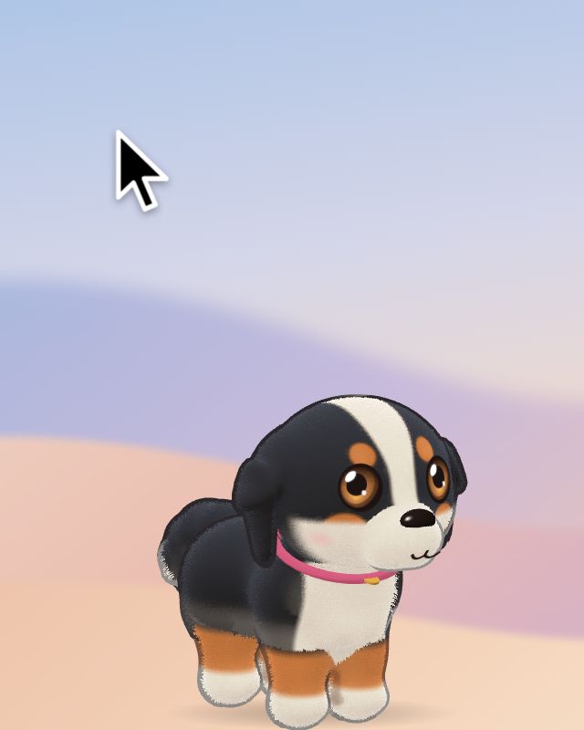 A Bernese mountain dog play-bows and then races back and forth across the screen